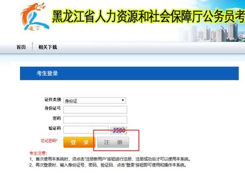 网上报名怎么报名