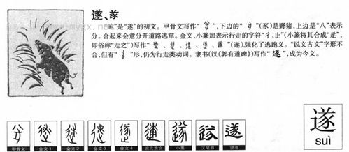 遂的意思是什么 遂应该怎么读