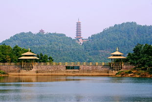 广东江门景点，江门景点游记作文