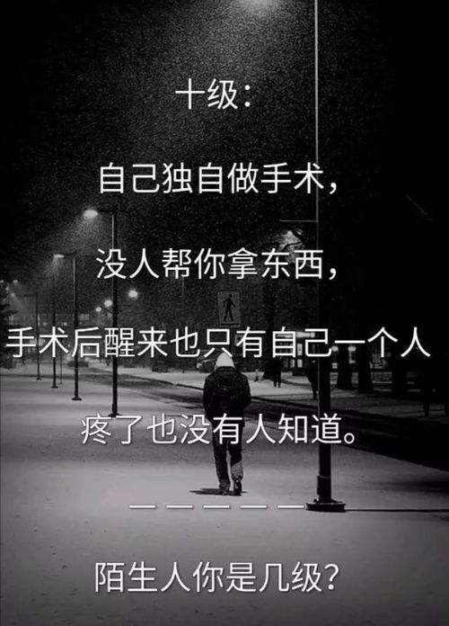 孤独的十二个等级分别是什么