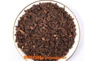 蒲公英根泡水喝的功效