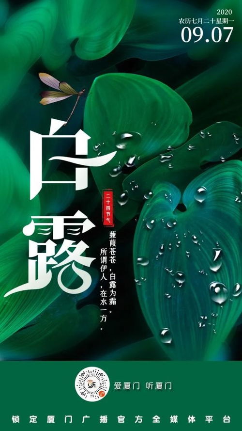 白露的友情祝福语大全