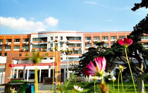 湖南财政经济学院教务系统，湖南财政经济学院官网专升本信息核对