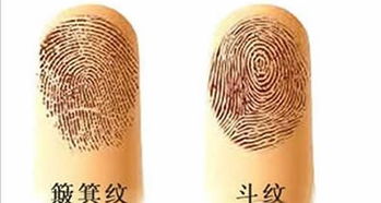 手上的斗和簸箕的含义是什么?