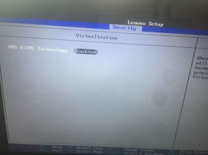 联想笔记本怎么开启vt win8，联想笔记本开不开机解决方法