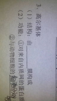 核糖体的主要成分包括，核糖体的功能