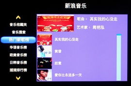 网络超红的二十首歌曲
