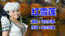 <你来到我的身旁叫我不要在流浪>的歌名是什么?