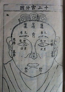 何姓家谱56个字辈分别是什么?