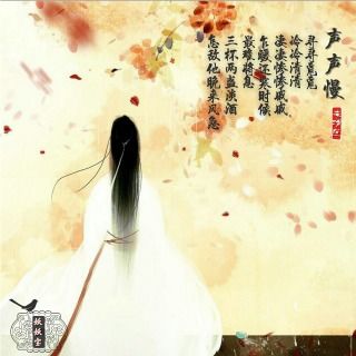 谁知道崔开潮的《声声慢》歌词是什么?