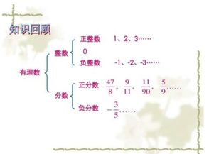 整数包括哪些，正数和负数的概念