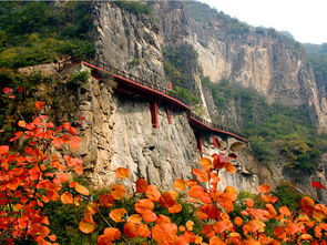 藏山门票60岁免费，藏山门票是多少