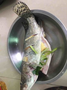 清蒸鱼桂花鱼的做法，桂花鱼的做法 清汤
