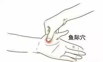 大鱼际发青，大鱼际揉法常用于