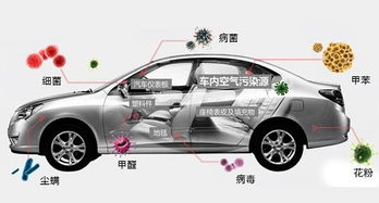 怎样有效去除车内甲醛?