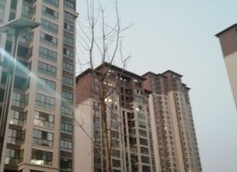 网签了再解约很麻烦吗,要赔违约金吗，网签了可以解约吗