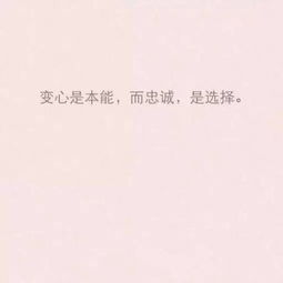 十个字的优美句子