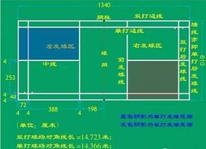 羽毛球场地大小长宽高，羽毛球场地大小与球速的关系