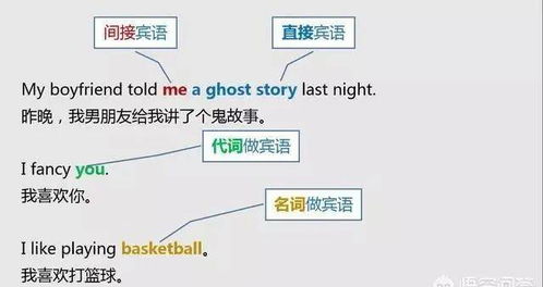 英语定语修饰什么成分，定语修饰什么成分举例语文