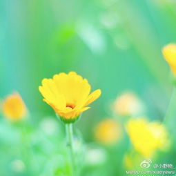 寒冷的近义词是什么，合拢的近义词