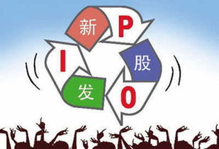 新股申购显示,申购额度为o,不知道是什么意思