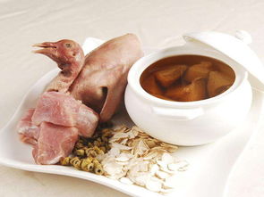 鸽子肉的营养价值高吗，鸽子肉的营养价值孕妇吃了好吗