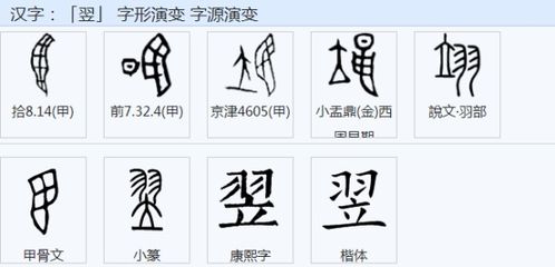 立羽读什么音，立羽怎么读?