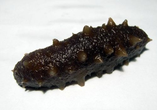 即食海参怎么吃前处理，张奶奶即食海参怎么吃
