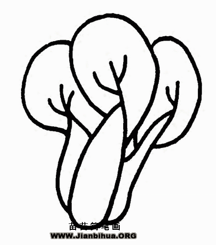 青菜简笔画怎么画，水果青菜简笔画