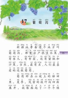 小学二年级《葡萄沟》课文