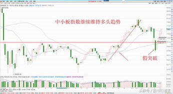 上证,深证,中小板,创业板等的代号是什么