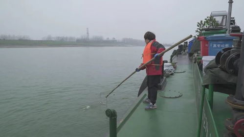 捞组词 捞字怎么组词