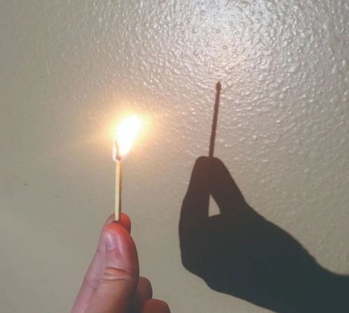 火有影子吗简单概括，火有影子吗的结论