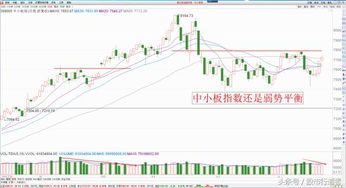 中小板指数基金etf，中小板指数基金哪个好