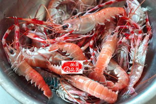 海龙虾怎么做好吃 海龙虾好吃做法