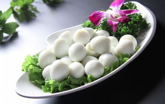 鸽子蛋煮多长时间