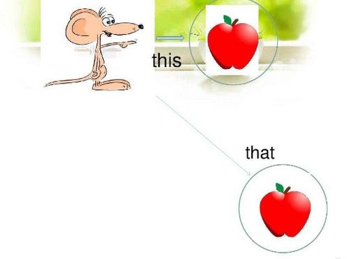 this和that的区别图片，this和that的区别题目