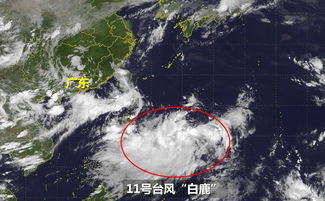 今年7月份有几个台风?