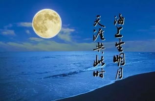 天涯共此时的上一句是什么