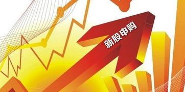 新股申购只能当天申购吗，新股申购成功一定要买吗