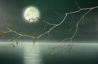 描写夜景的诗句二年级上册，描写夜景的诗句都有哪些