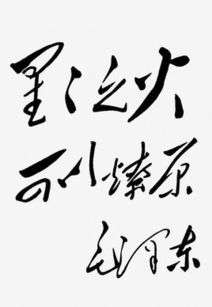 烈火燎原是什么意思，心心之火,可以燎原是什么意思