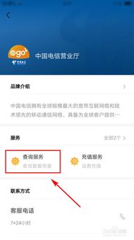 电信怎么查话费