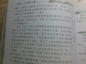 关于人间真情的作文450字，关于人间真情的作文结尾