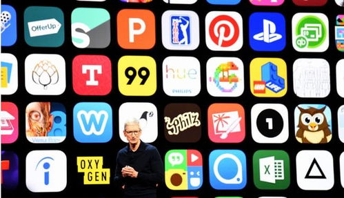 apple英语怎么读