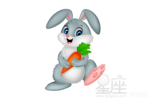 兔和龙的属相适合做夫妻吗，兔和龙合得来吗