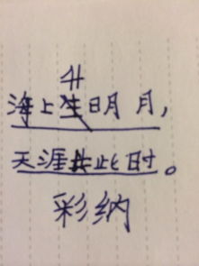 海上生明月天涯共此时上一句，低头思故乡上一句