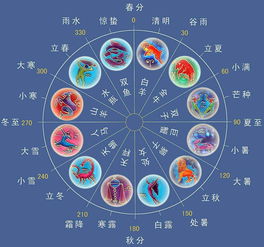 12月份是什么星座