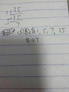 35的因数是多少?