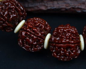 金刚菩提怎么变红的，金刚菩提变红过程记录